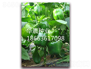 �W��F1�����m��-�𽷷N��-�A���N�I(y��)