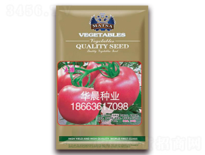 ����-���ѷN��-�A���N�I(y��)