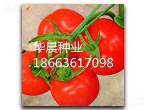 ���ȣ��߿�TY������-���ѷN��-�A���N�I(y��)