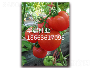 ������-���ѷN��-�A���N�I(y��)