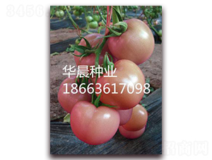 �W�طۣ����m��-���ѷN��-�A���N�I(y��)