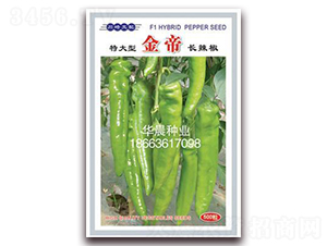 ���-�����N��-�A���N�I(y��)