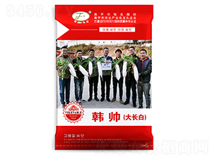 �n�����L(zh��ng)��-�}���N��-�Ը��N��