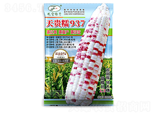 ���FŴ937-���׷N��-�Ը��N��