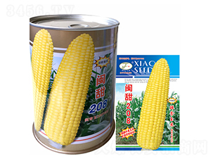 �}��208-���׷N��-�Ը��N��