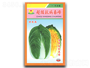 ������������-�ײ˷N��-�������