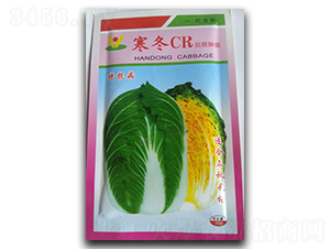 ����CR-�ײ˷N��-�������