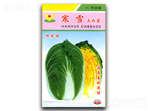 ��ѩ-�ײ˷N��-�������