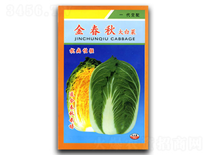 ����-�ײ˷N��-�������