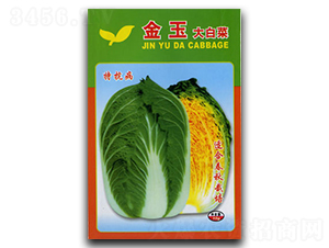 ����-�ײ˷N��-�������