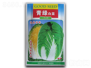 ��G-�ײ˷N��-�������