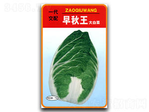 ������-�ײ˷N��-�������