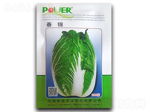 ���\-�ײ˷N��-�������