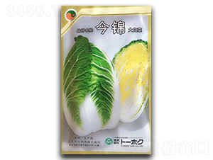 ���\-�ײ˷N��-�������