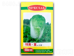 ��Ӣ��F1-�ײ˷N��-�������