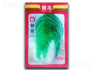 �(sh��)-�ײ˷N��-�������