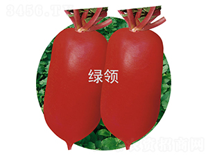 �ļt3̖(h��o)-�}���N��-�G�I(l��ng)�N�I(y��)