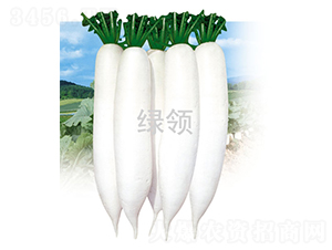 �İ�1̖(h��o)-�}���N��-�G�I(l��ng)�N�I(y��)