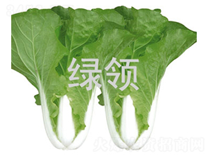 ���v1234-С�ײ˷N��-�G�I(l��ng)�N�I(y��)