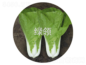 ���v188-С�ײ˷N��-�G�I(l��ng)�N�I(y��)