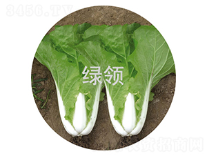 ���v165-С�ײ˷N��-�G�I(l��ng)�N�I(y��)