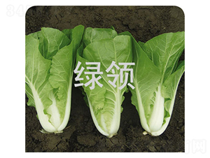 ���v26̖-С�ײ˷N��-�G�I(l��ng)�N�I(y��)