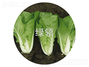 ���v5̖-С�ײ˷N��-�G�I(l��ng)�N�I(y��)