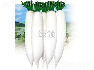 ���1̖(h��o)-�}���N��-�G�I(l��ng)�N�I(y��)