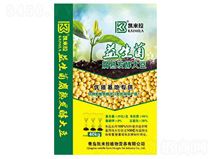 ����������l(f��)�ʹ�-�P����