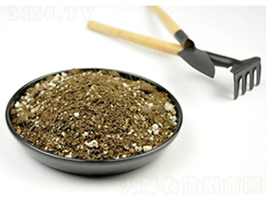 ������ľ�I�B(y��ng)��-�s�S����