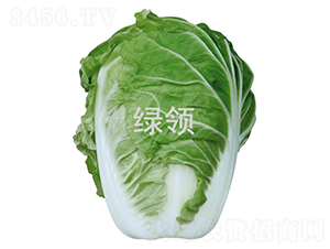 �G�I(l��ng)���50-�ײ˷N��-�G�I(l��ng)�N�I(y��)