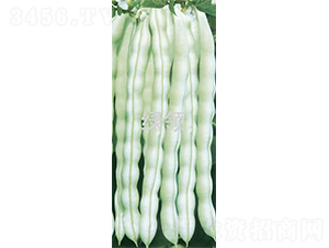 ��������-�ܶ��N��-�G�I(l��ng)�N�I(y��)