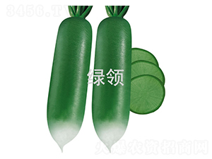 ������-�}���N��-�G�I(l��ng)�N�I(y��)