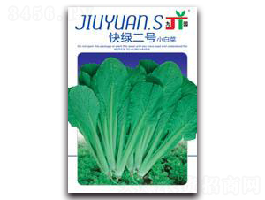 ��G��̖-С�ײ˷N��-�����Z