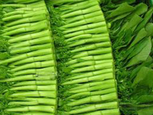 ����-�ײ˷N��-�����Z