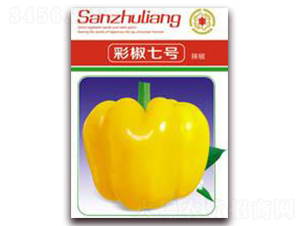 �ʽ���̖-�ʽ��N��-�����Z