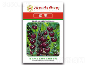 ����-���ѷN��-�����Z