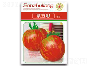 �����-���ѷN��-�����Z