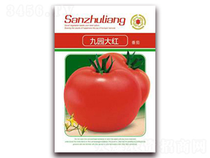 �ň@��t����-���ѷN��-�����Z