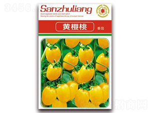 �S���ҷ���-���ѷN��-�����Z