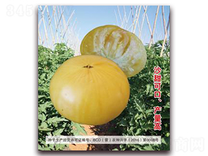 �S��-���ѷN��-�����Z