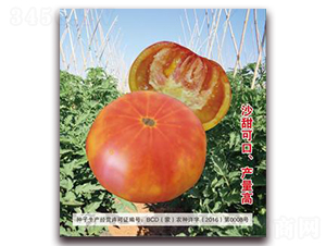 �t��-���ѷN��-�����Z