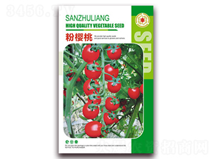 �ۙ���-���ѷN��-�����Z