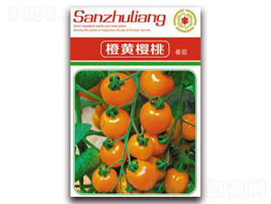 ���S���ҷ���-���ѷN��-�����Z