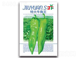 �ش�ţ����-�����N��-�����Z