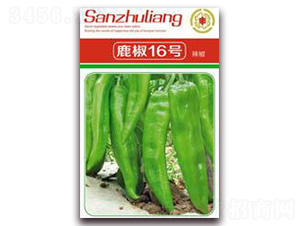 ¹��16̖�ཷ-�����N��-�����Z