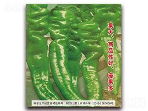 ¹��29-�����N��-�����Z