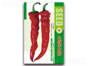 �ň@��ǽ�-�����N��-�����Z