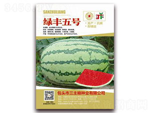 �G�S��̖-���ϷN��-�����Z