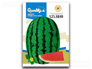 SZL�G��-���ϷN��-�����Z